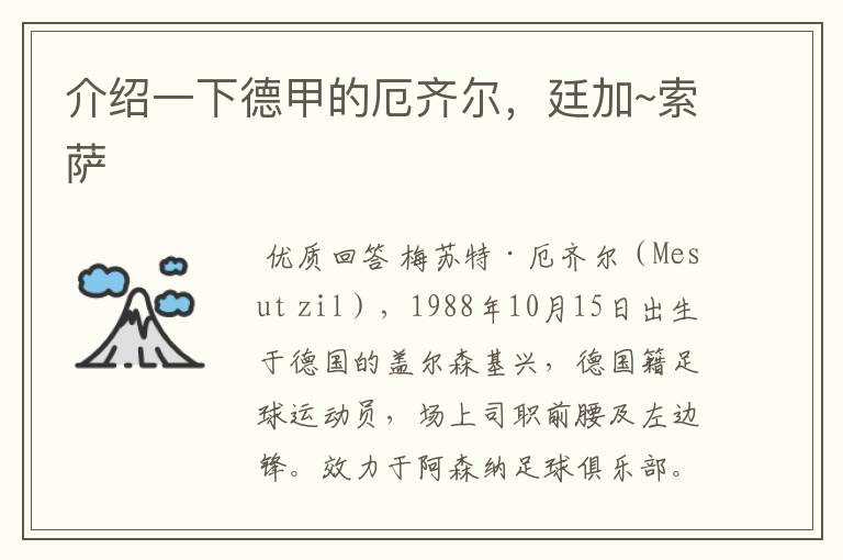 介绍一下德甲的厄齐尔,廷加~索萨