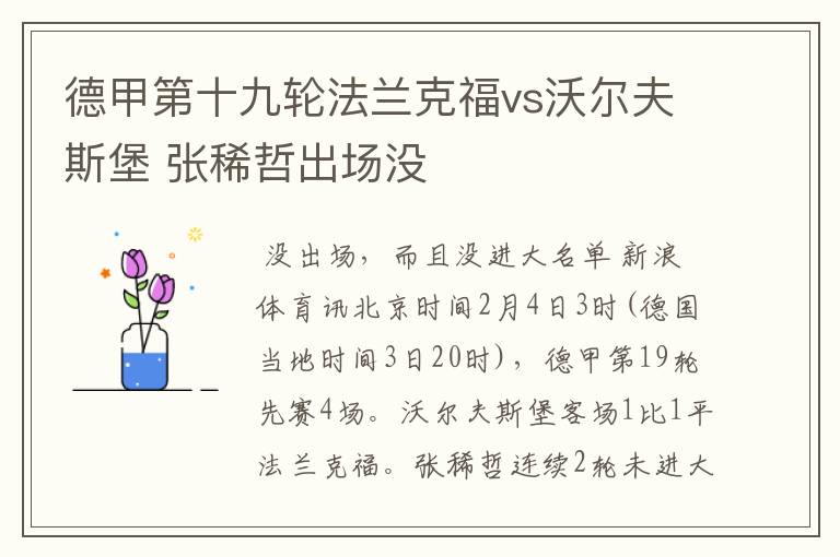 张稀哲德甲出场了吗:张稀哲德甲实力
