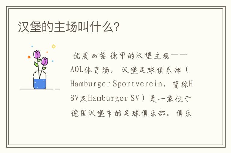汉堡的主场叫什么?