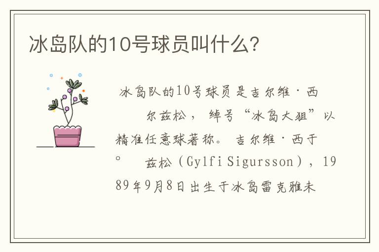 冰岛队的10号球员叫什么?