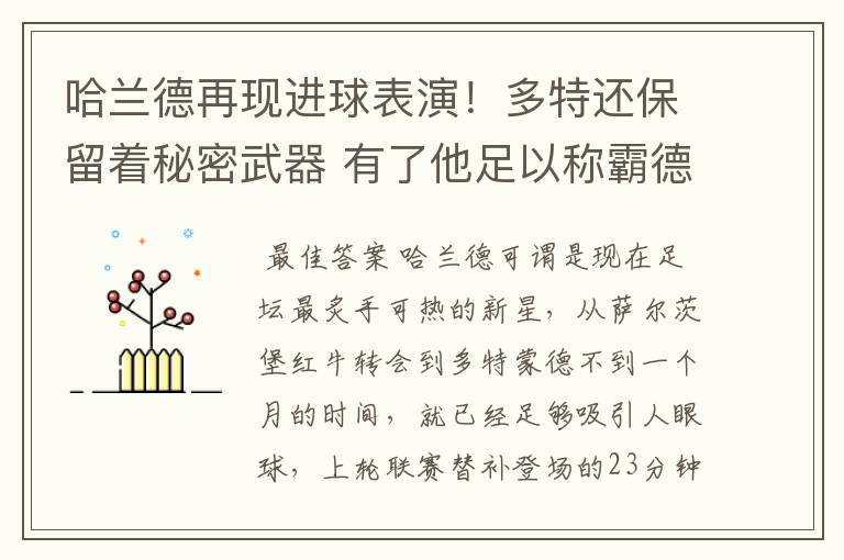 哈兰德再现进球表演!多特还保留着秘密武器 有了他足以称霸德甲