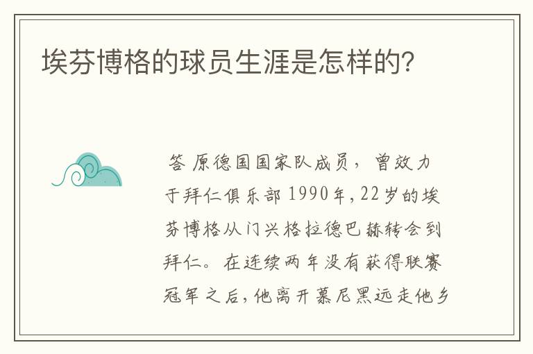 埃芬博格的球员生涯是怎样的?