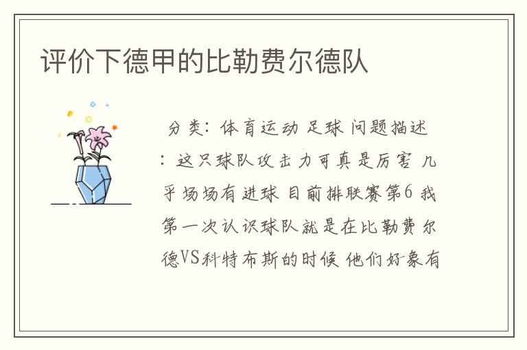 评价下德甲的比勒费尔德队