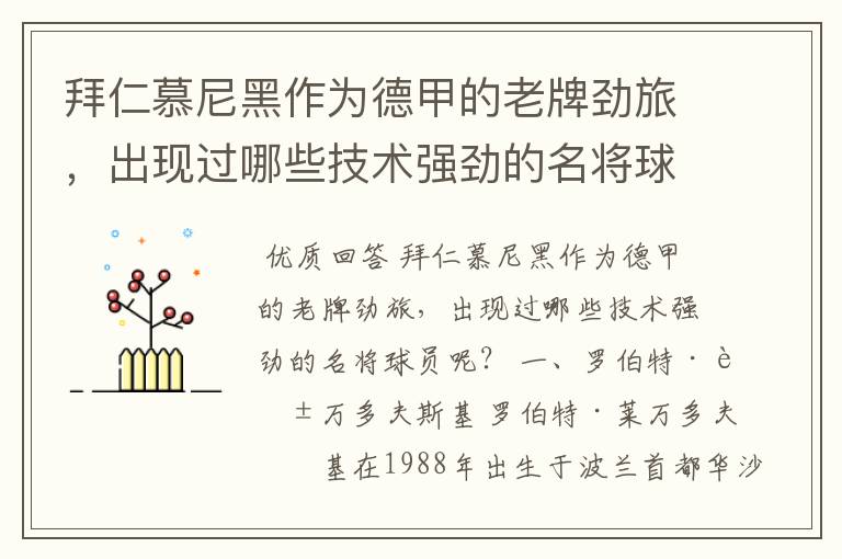 拜仁慕尼黑作为德甲的老牌劲旅，出现过哪些技术强劲的名将球员呢？