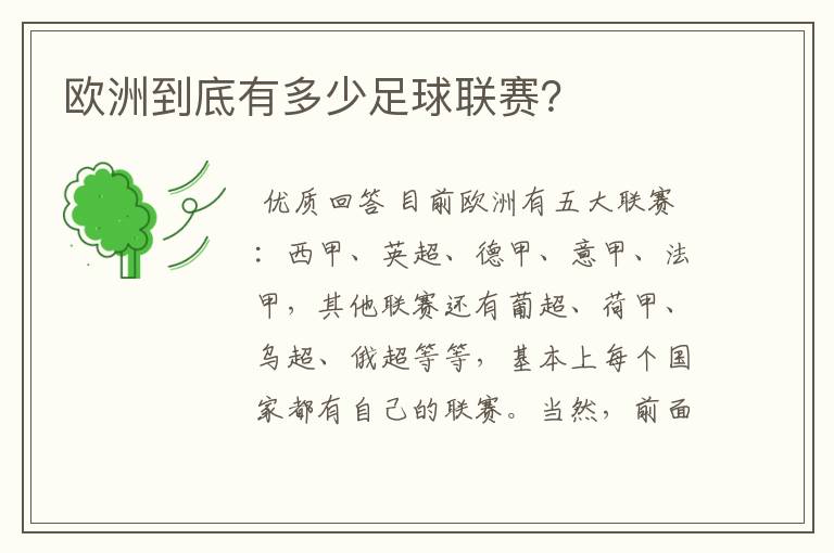 欧洲到底有多少足球联赛?