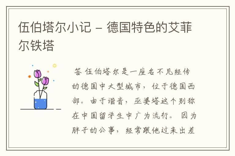 伍伯塔尔小记 - 德国特色的艾菲尔铁塔