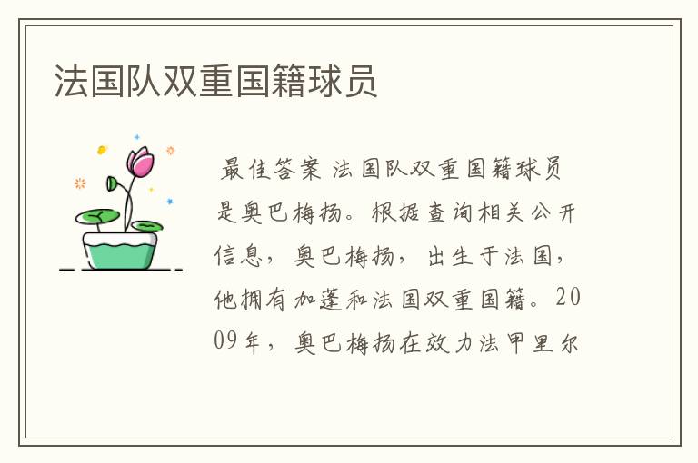 法国队双重国籍球员