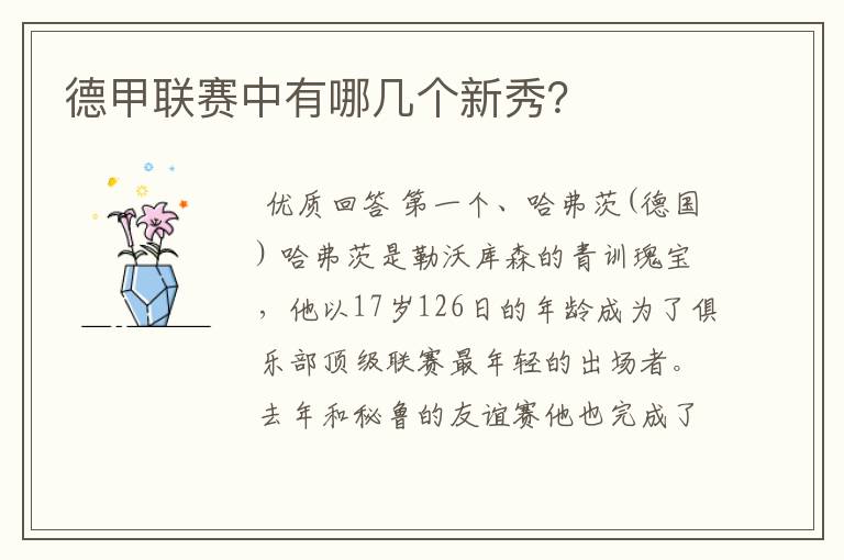 德甲联赛中有哪几个新秀?