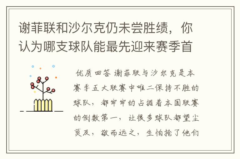 谢菲联和沙尔克仍未尝胜绩,你认为哪支球队能最先迎来赛季首胜?