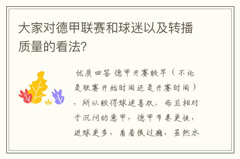大家对德甲联赛和球迷以及转播质量的看法?