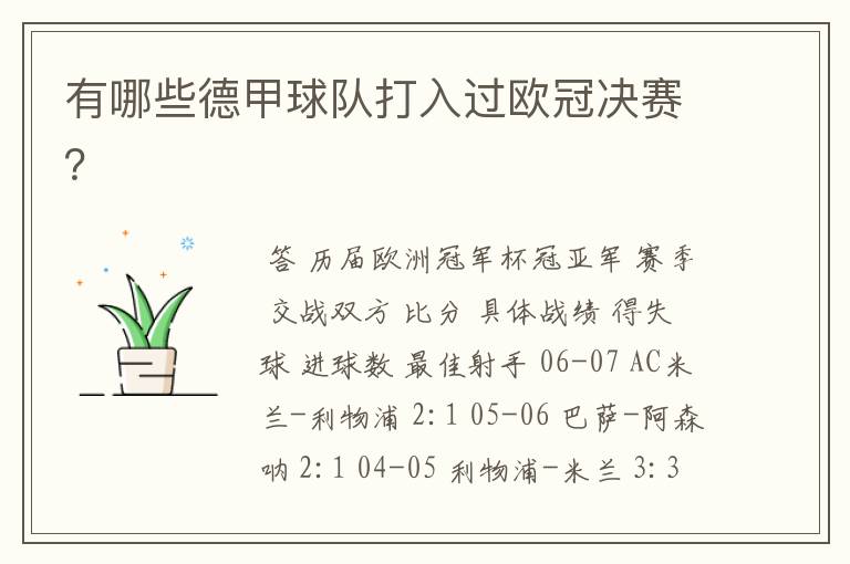有哪些德甲球队打入过欧冠决赛?