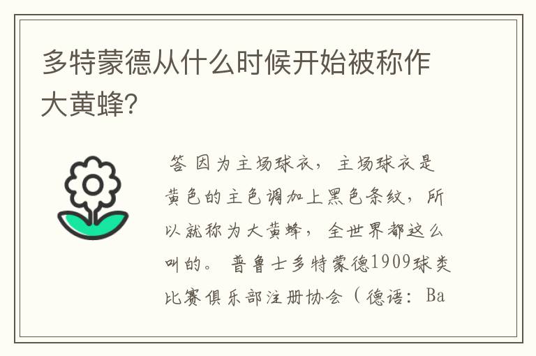 多特蒙德从什么时候开始被称作大黄蜂?