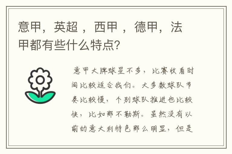意甲,英超 ,西甲 ,德甲,法甲都有些什么特点?
