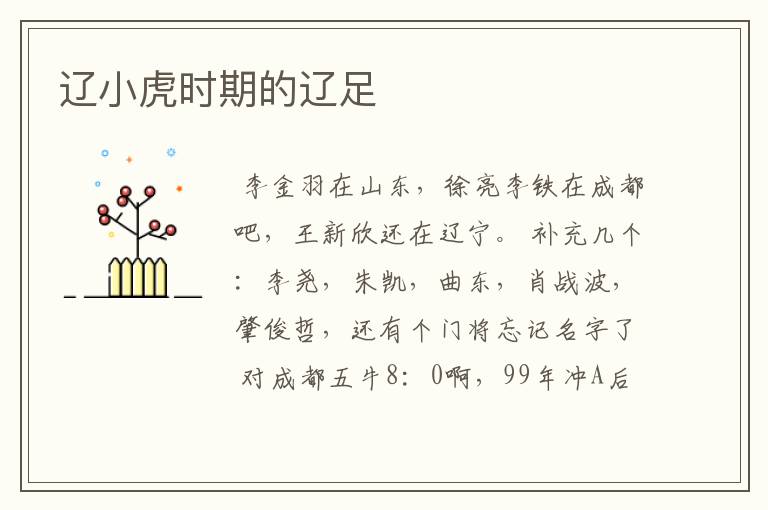 辽小虎时期的辽足