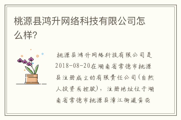 桃源县鸿升网络科技有限公司怎么样?