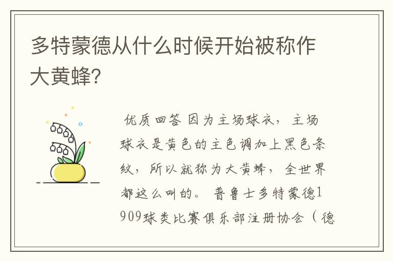 多特蒙德从什么时候开始被称作大黄蜂?