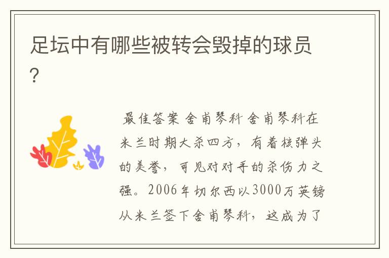 足坛中有哪些被转会毁掉的球员?