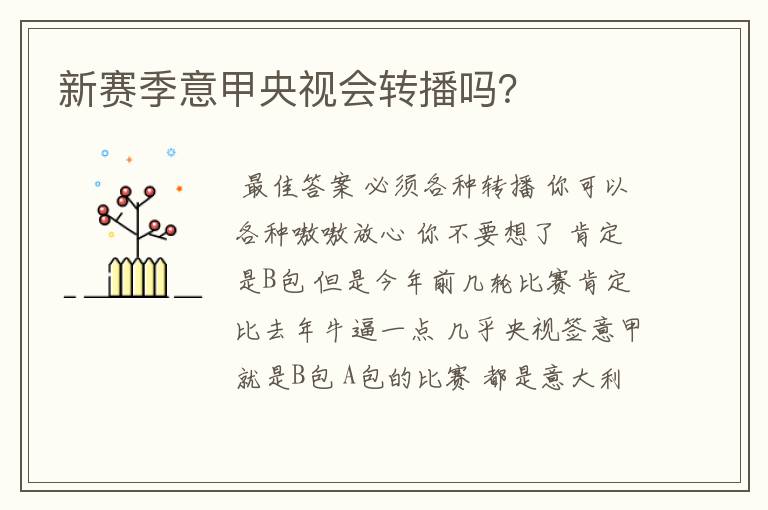 新赛季意甲央视会转播吗?
