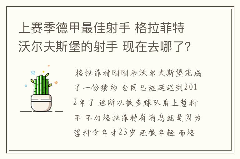 上赛季德甲最佳射手 格拉菲特 沃尔夫斯堡的射手 现在去哪了?
