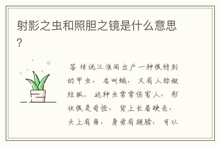 射影之虫和照胆之镜是什么意思?