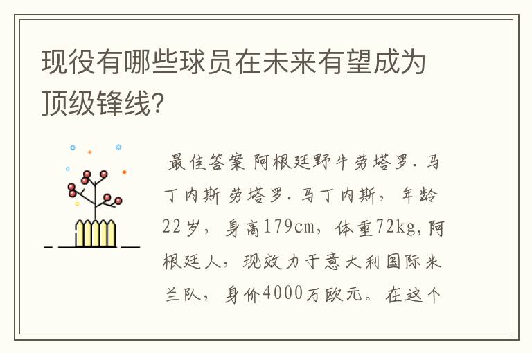 现役有哪些球员在未来有望成为顶级锋线?