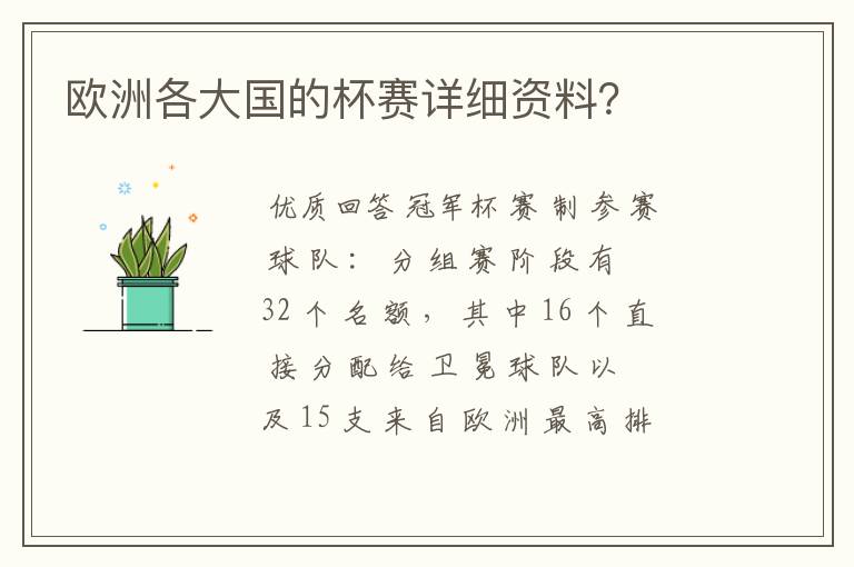 欧洲各大国的杯赛详细资料?