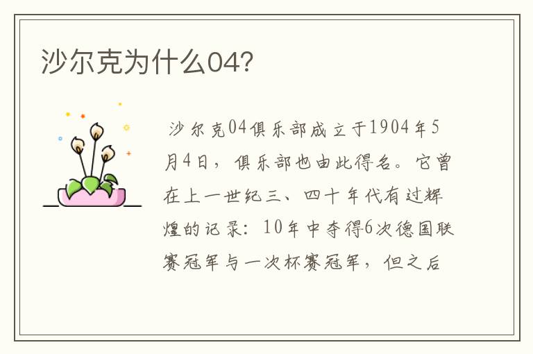 沙尔克为什么04?