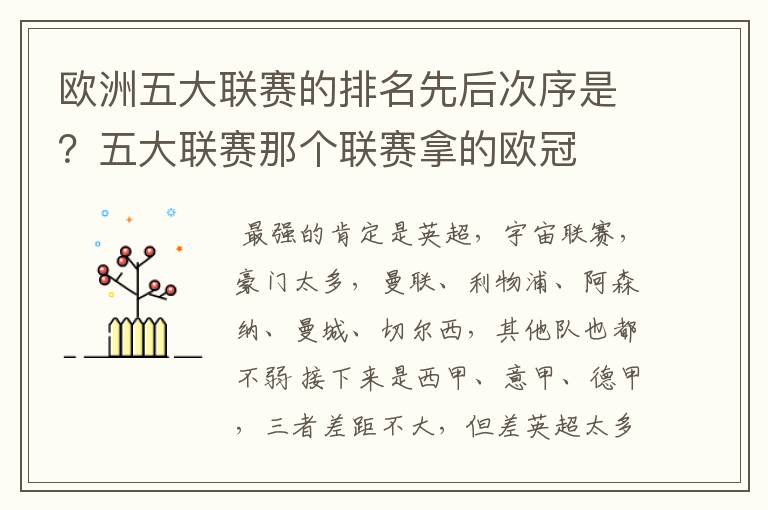 欧洲五大联赛的排名先后次序是?五大联赛那个联赛拿的欧冠