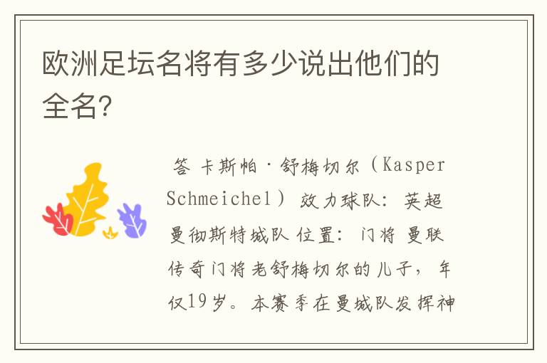 欧洲足坛名将有多少说出他们的全名?