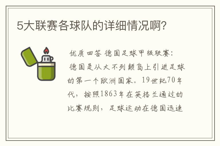 5大联赛各球队的详细情况啊?