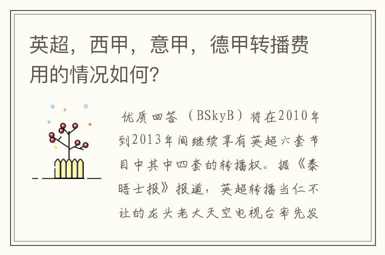 英超,西甲,意甲,德甲转播费用的情况如何?