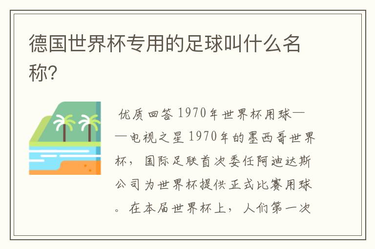德国世界杯专用的足球叫什么名称?
