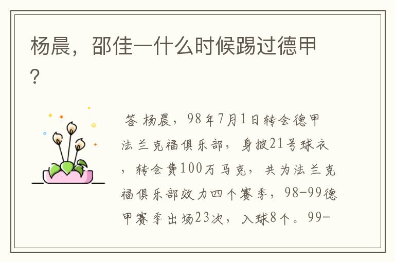 杨晨，邵佳一什么时候踢过德甲？
