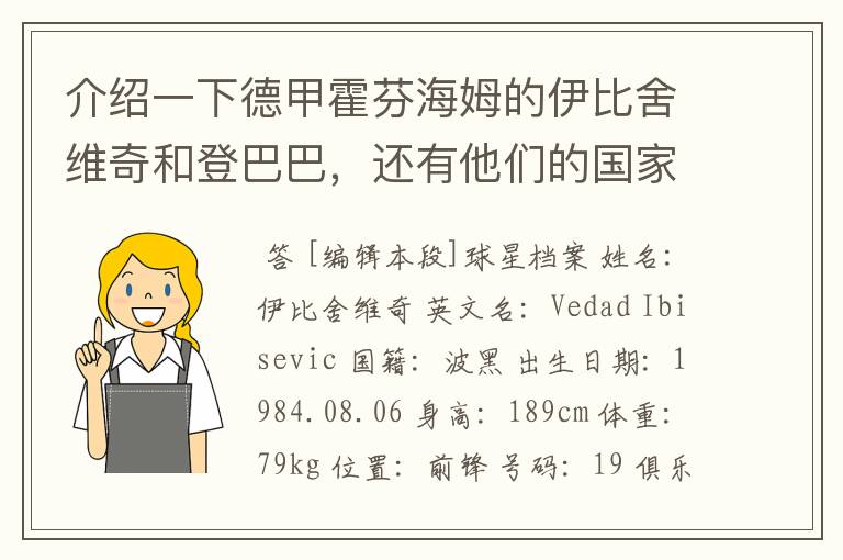 介绍一下德甲霍芬海姆的伊比舍维奇和登巴巴，还有他们的国家队履历