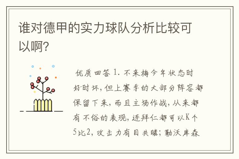谁对德甲的实力球队分析比较可以啊？