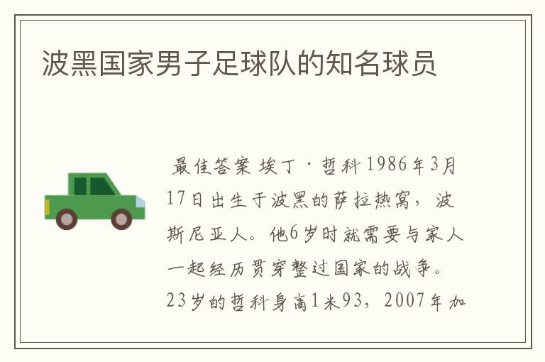 波黑国家男子足球队的知名球员