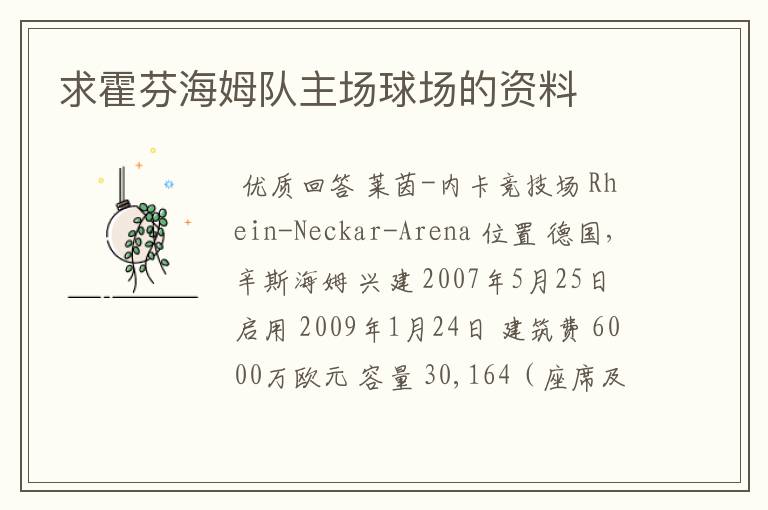 求霍芬海姆队主场球场的资料