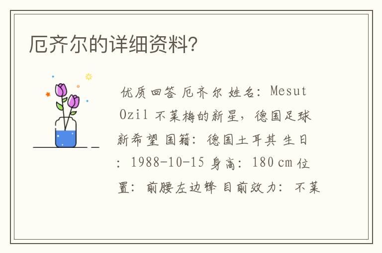 厄齐尔的详细资料?