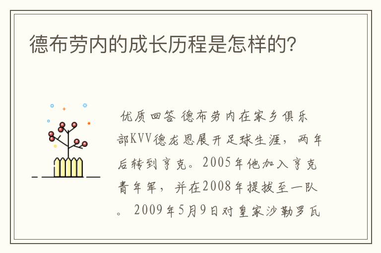 德布劳内的成长历程是怎样的?
