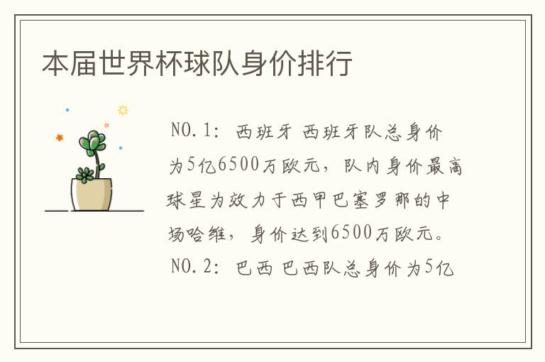 本届世界杯球队身价排行