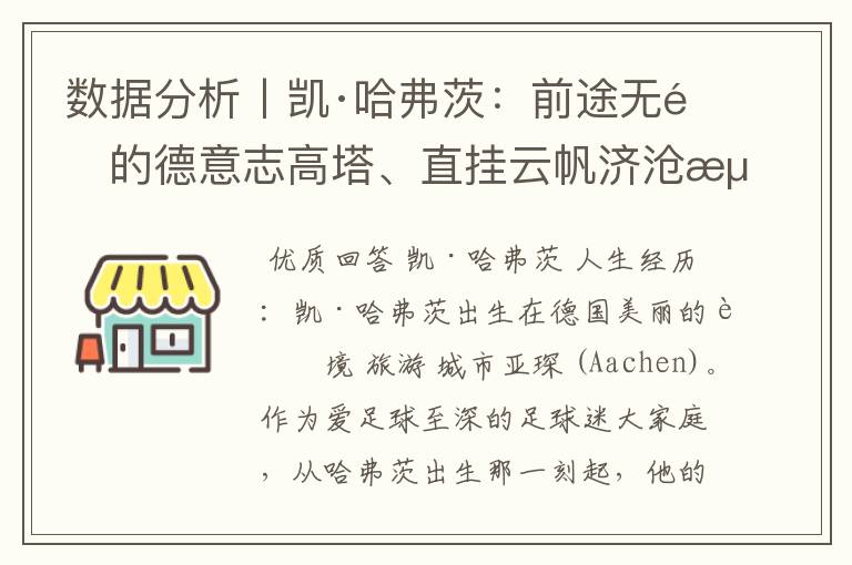 数据分析丨凯·哈弗茨:前途无量的德意志高塔、直挂云帆济沧海