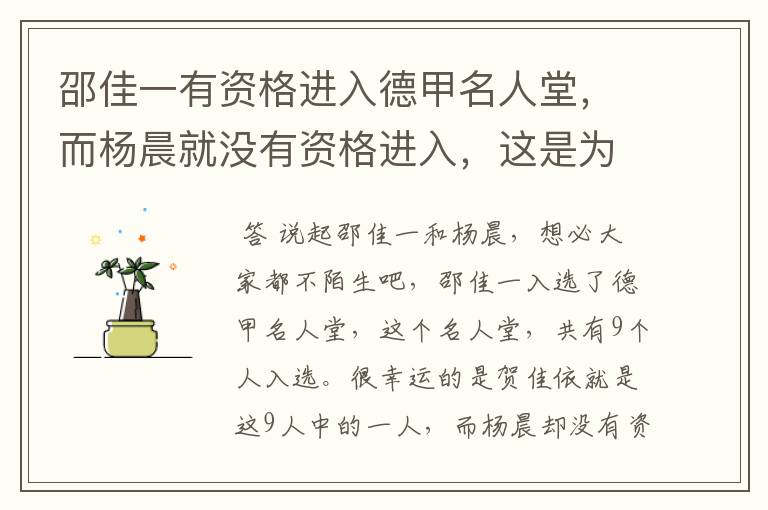 邵佳一有资格进入德甲名人堂,而杨晨就没有资格进入,这是为何?