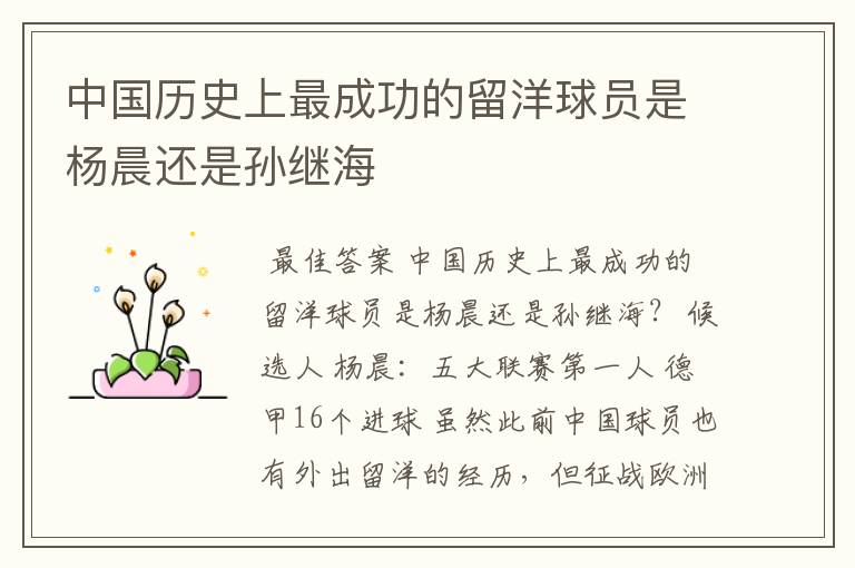 中国历史上最成功的留洋球员是杨晨还是孙继海