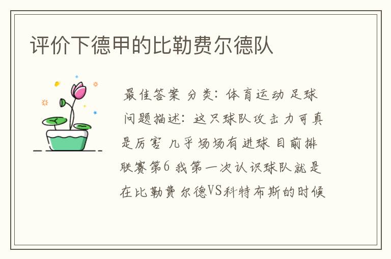 评价下德甲的比勒费尔德队