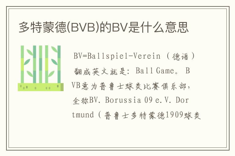 多特蒙德(BVB)的BV是什么意思