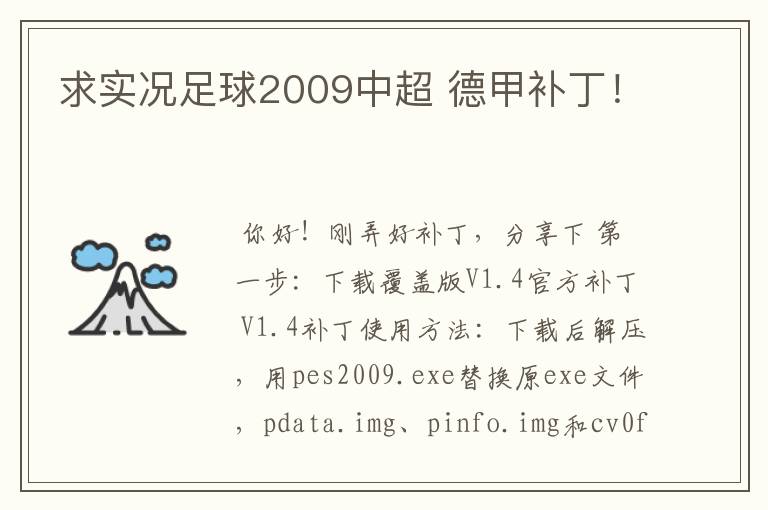 求实况足球2009中超 德甲补丁!