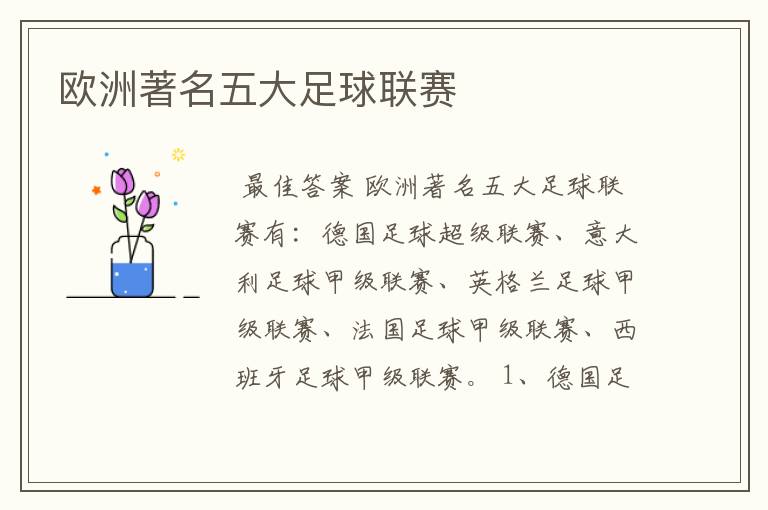 欧洲著名五大足球联赛