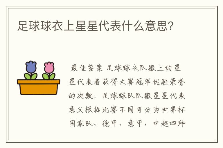 足球球衣上星星代表什么意思?