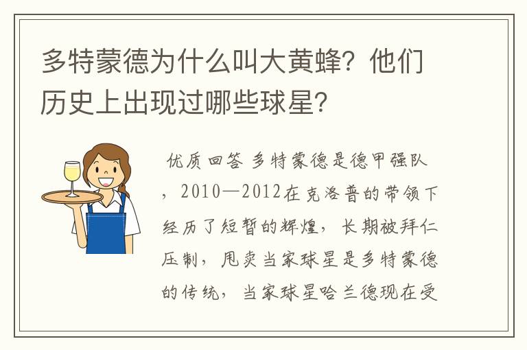 多特蒙德为什么叫大黄蜂?他们历史上出现过哪些球星?