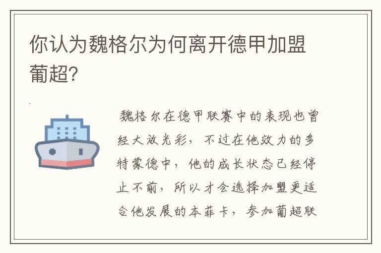 你认为魏格尔为何离开德甲加盟葡超?
